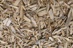 biomass boilers Pentre Coed